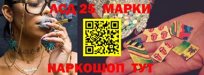эйфоретик Гатчина