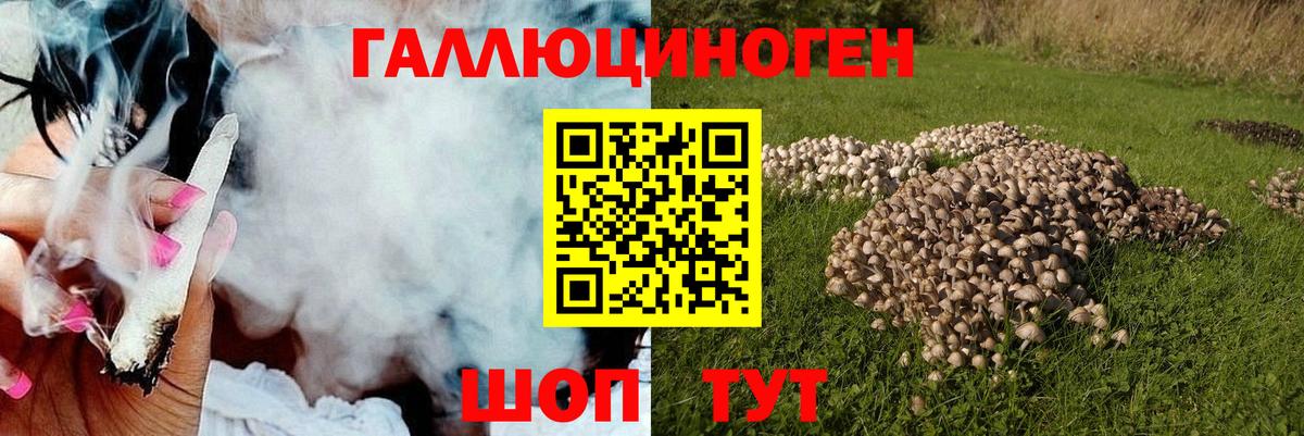 Мценск  Галлюциногенные грибы ЛСД  Псилоцибиновые грибы GOLDEN TEACHER  Вход с VPN 